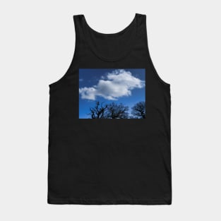 Blue Skies With Clouds And Winter Trees Without Leaves Tank Top